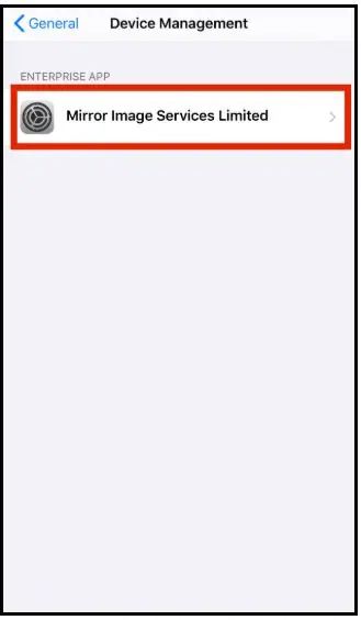 Device Management screen listing the enterprise app developer